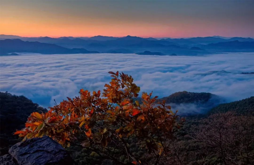 好美今天和女神们来一场说走就走的云旅行吧