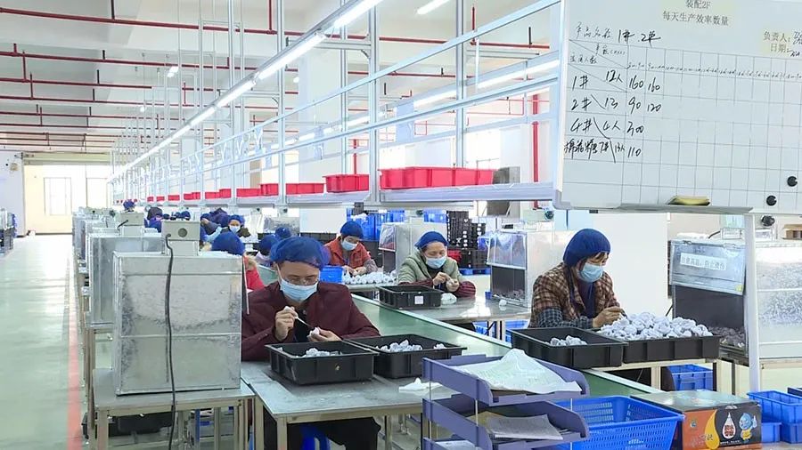 落户深圳宝安(龙川)产业转移园的丹尼玩具(龙川)有限公司在县委县政府