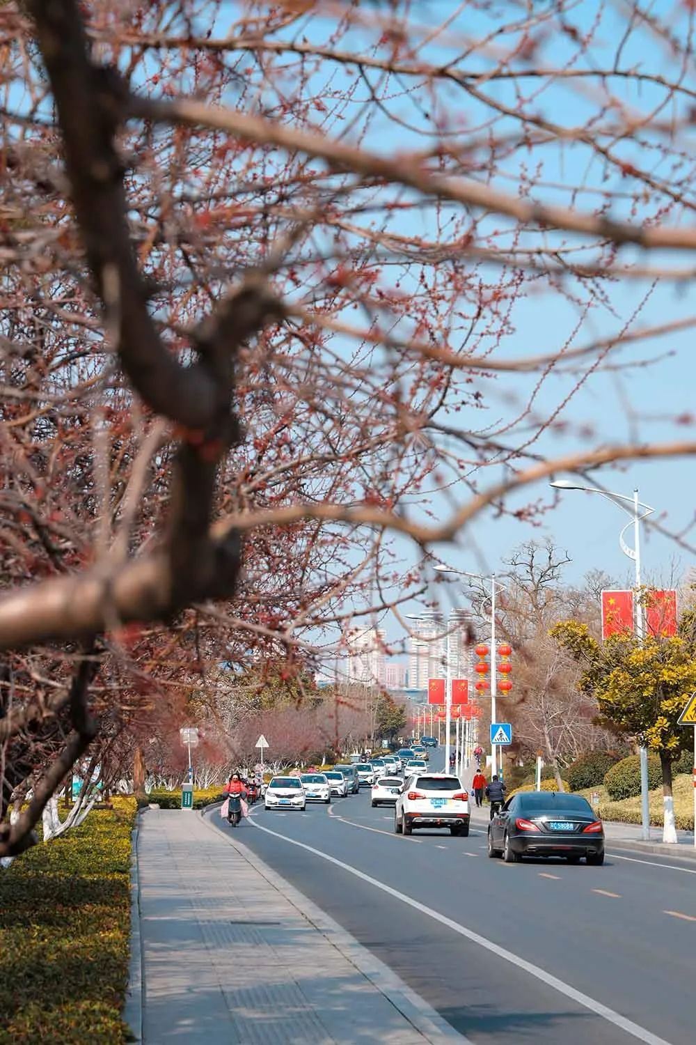 直播徐州春天初春云龙湖有你不知道的美