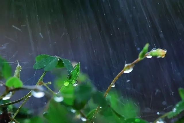 春雨如詩