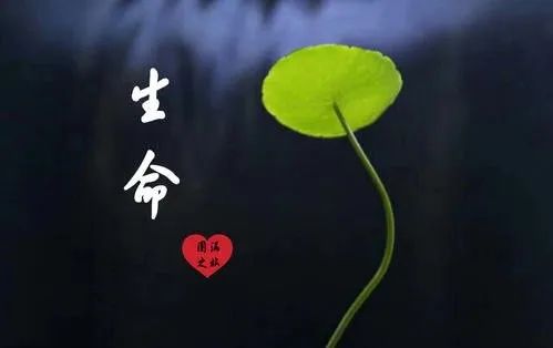 王怀林 ‖ 审视内心 找回自我——大疫情下的小思考