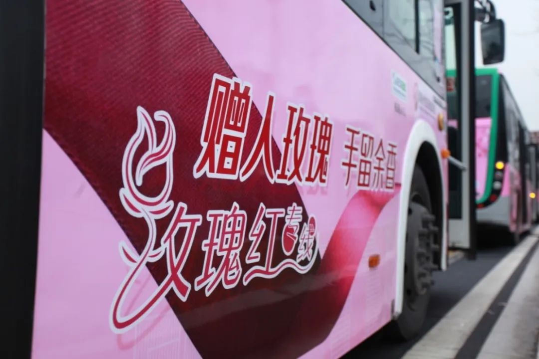 一条开往春天的玫瑰红公交专线带你看遍湖州美景