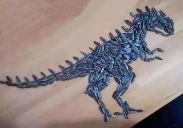 "艺术流"代表作之二:瓜子印象