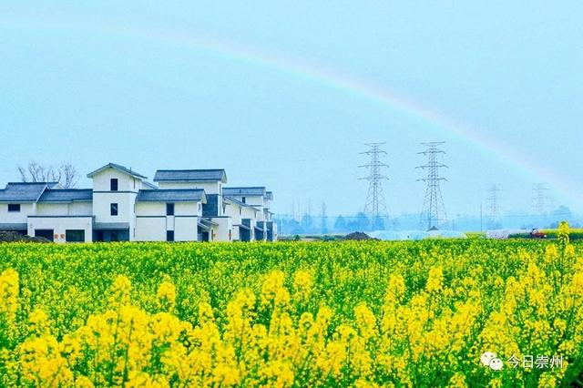 人勤春早春日的崇州万象更新