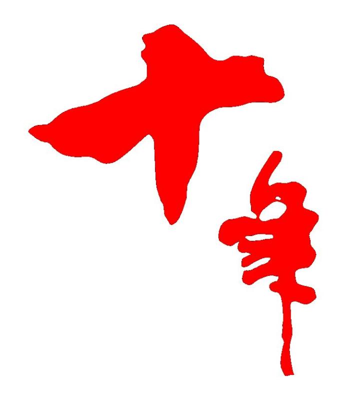 磨而不磷见初心 战"疫"中迎建所十周年