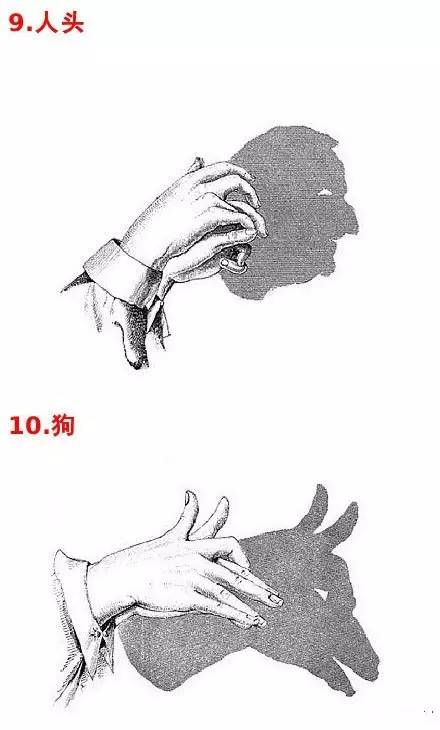 就可以展开巧思,通过手势的变化,创造出种种物的形象,因手影主要作给