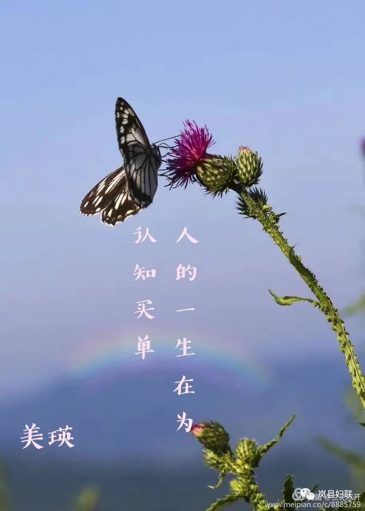 儲存陽光,必有芬芳,心中有暖,才會面帶微笑.