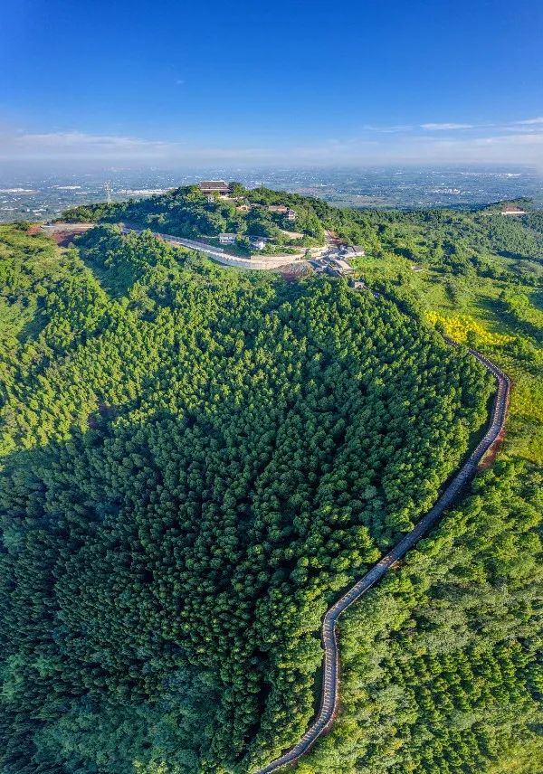 25万亩,龙泉山增绿增景3万亩.