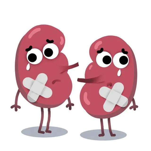 浙江小伙打篮球时突然晕倒,最后换肾续命!医生:这病是沉默的杀手