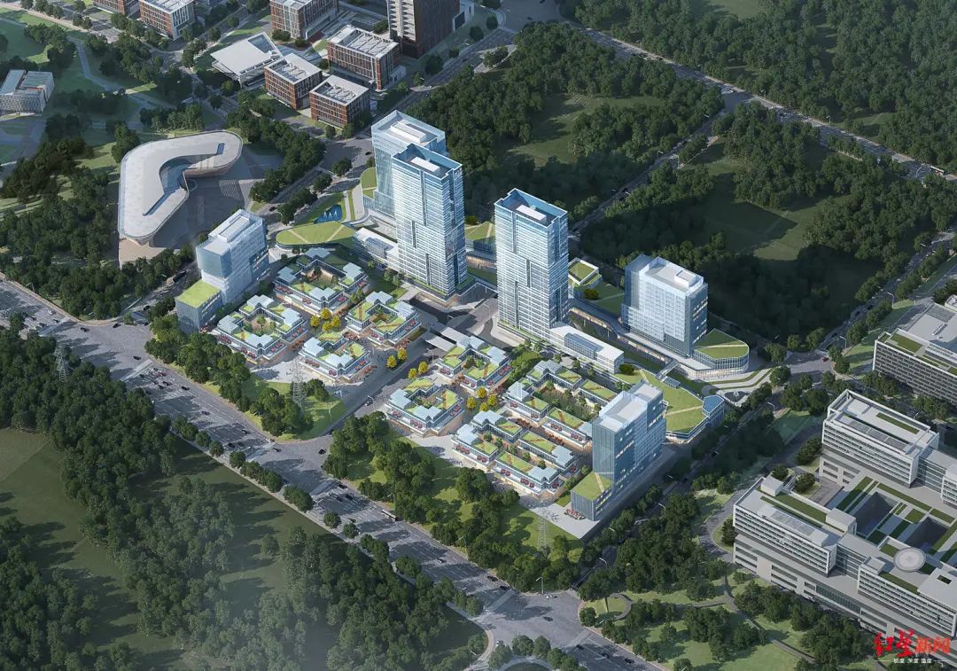 519.jpg