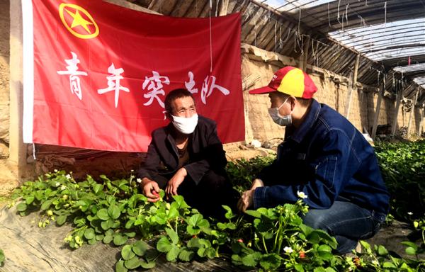 国网永靖县公司青年突击队开展"青春光明行 奉献新时代"主题活动,为