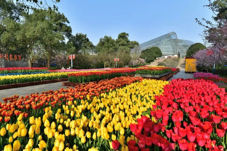 提示南山植物園明起恢復開園購票請網上實名預約