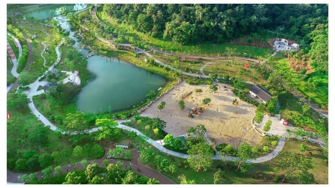 植树节给你看看蓬江的五彩蚂蚁森林