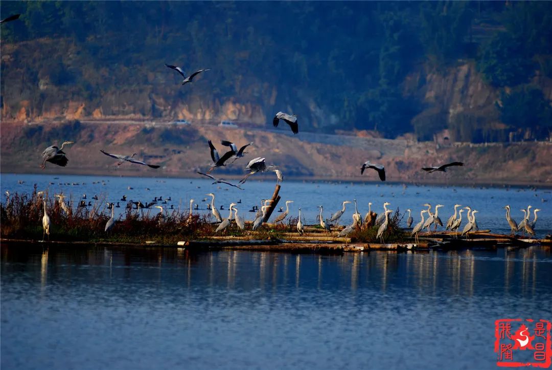 邂逅古宇湖来一场与春天的约会
