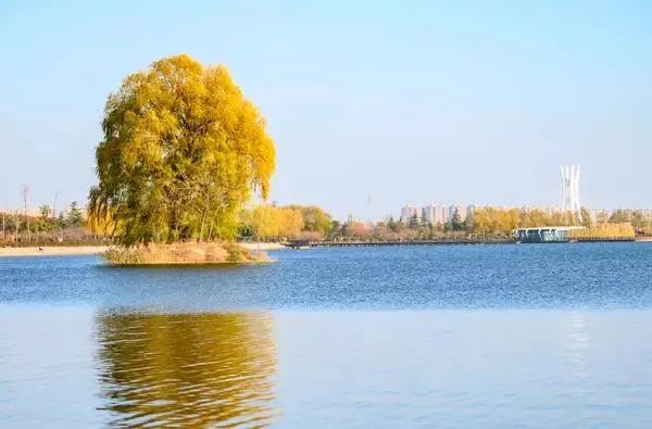 鄭州北龍湖公園掠影