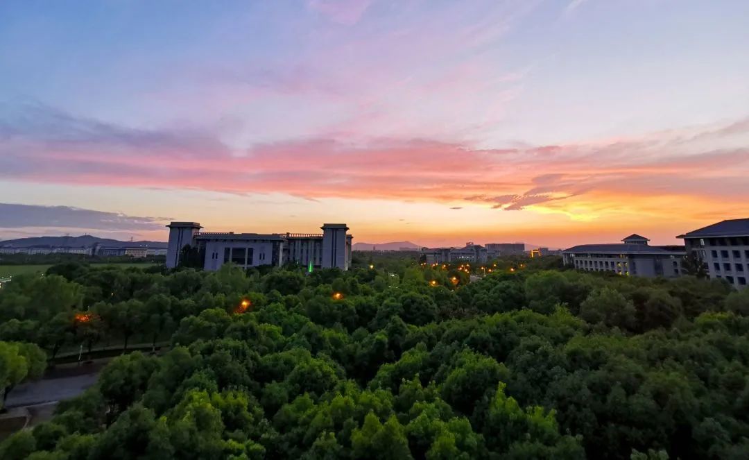 东南大学人口统计学_人口统计学的图片(2)