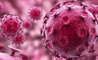 Science发文：新冠病毒究竟会不会随着季节变化消失？