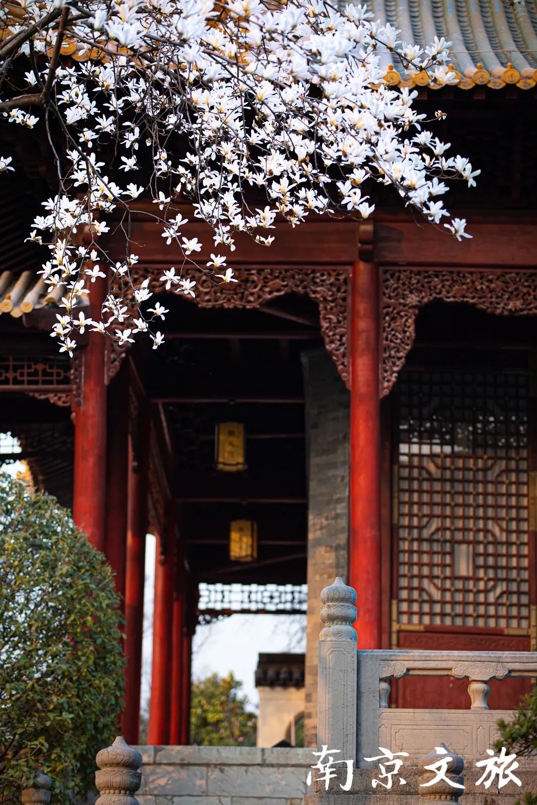 当春日里的这些花儿邂逅古朴雅致的古建筑