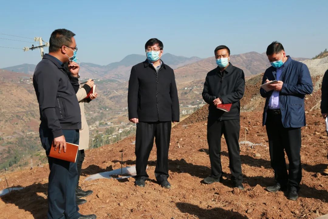 在玉龙镇新民村蔬菜种植基地调研初春时节,威宁大地草木吐绿,万物生发