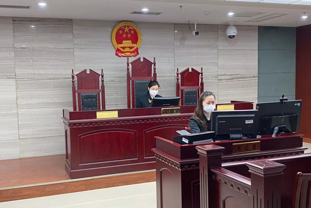 3月13日上午九点半,泰州医药高新区法院第六法庭内,法官敲响法槌,一起