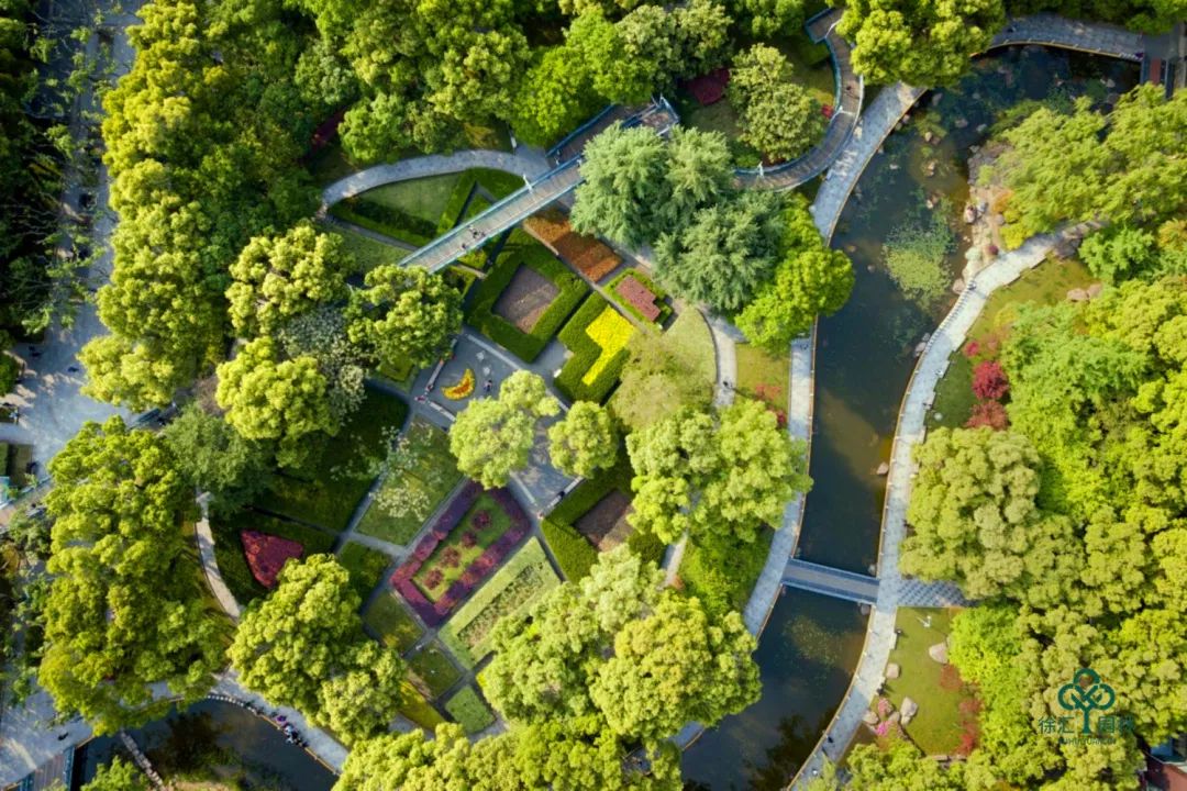 徐家汇公园里的迷人春色