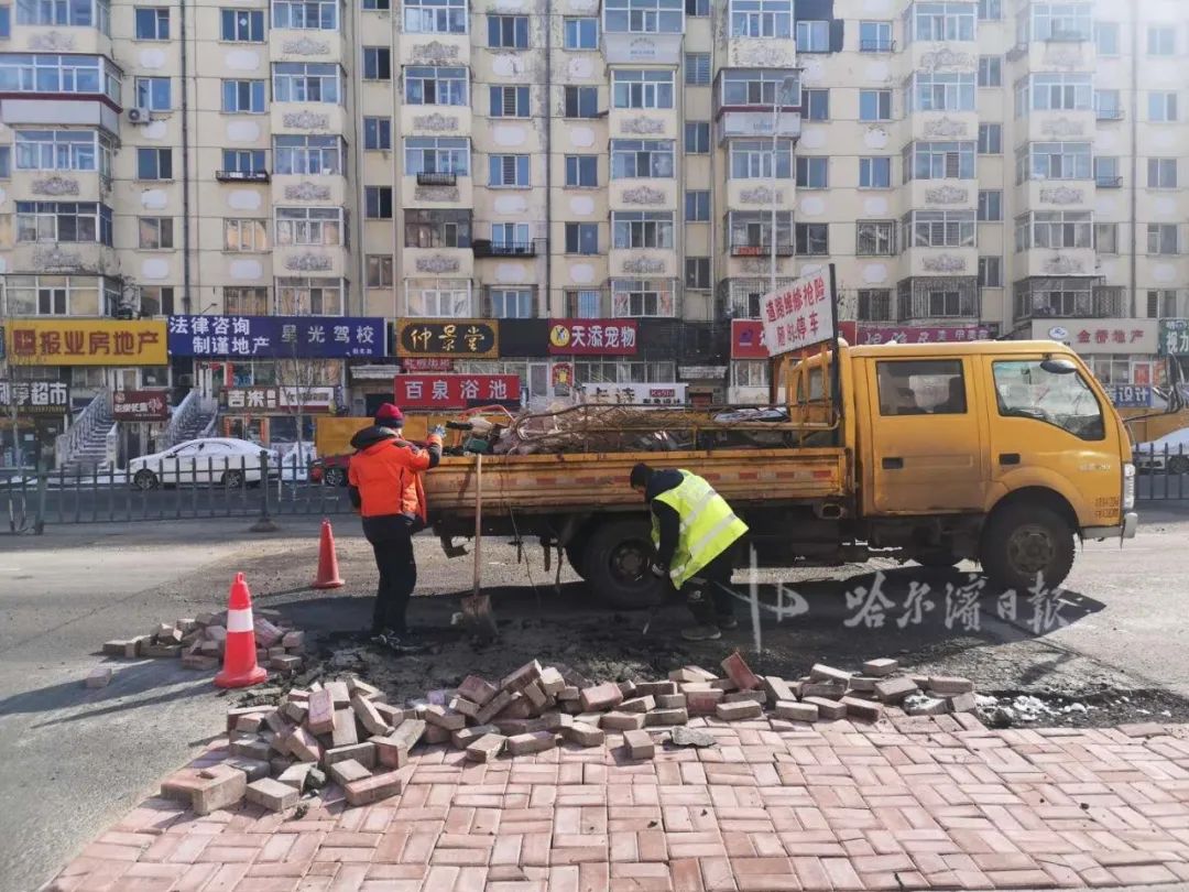即日起，哈市启动春季环境综合整治！实施翻浆道路“平整工程”、重点部位防疫消杀……