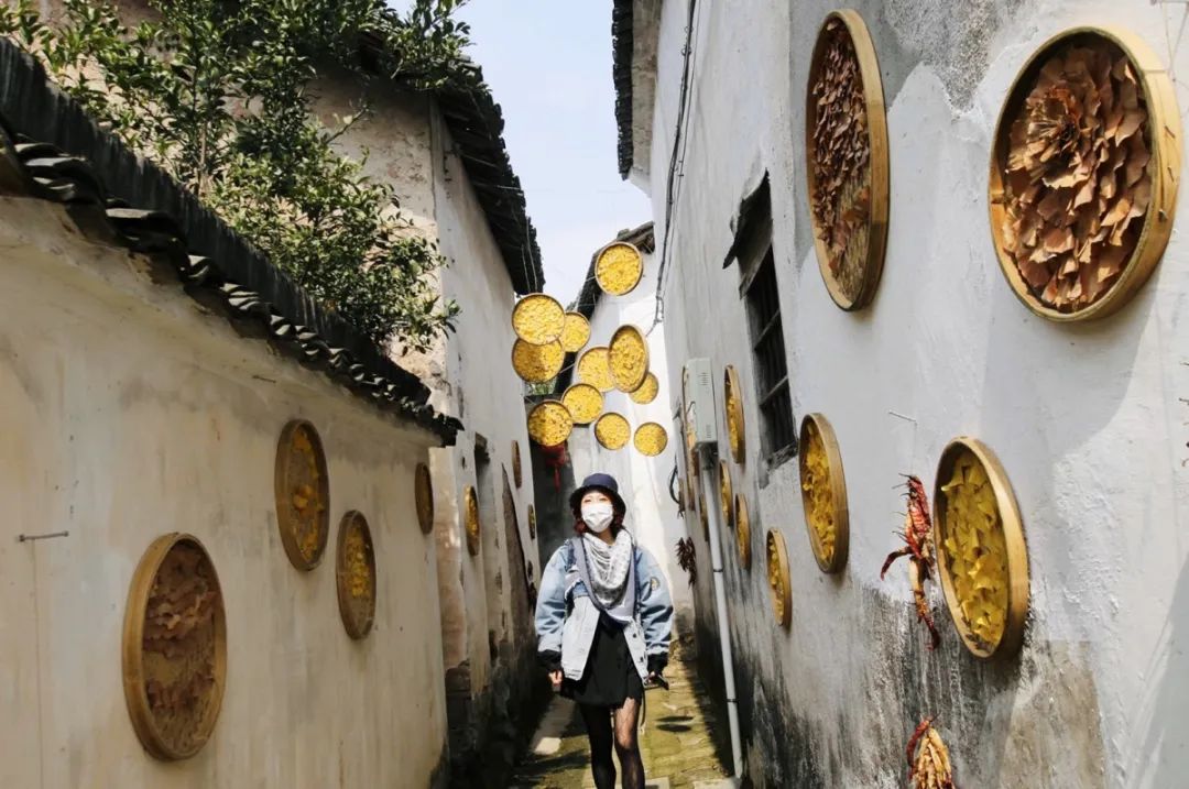 村里设立了古村十巷,有辣椒巷,玉米巷,荷叶巷,杜鹃巷,银杏巷等,成了网