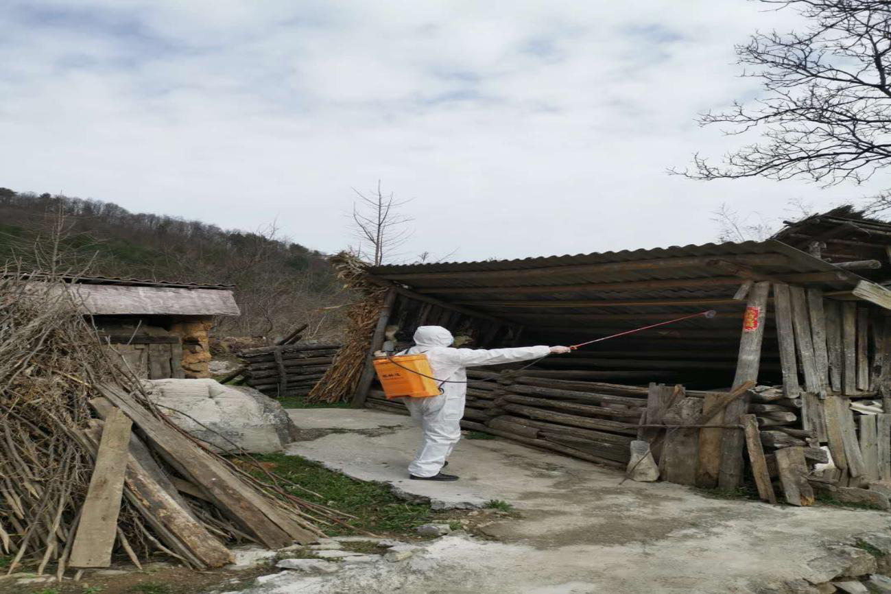 心向"太阳" 扶贫 战"疫" 号角嘹亮