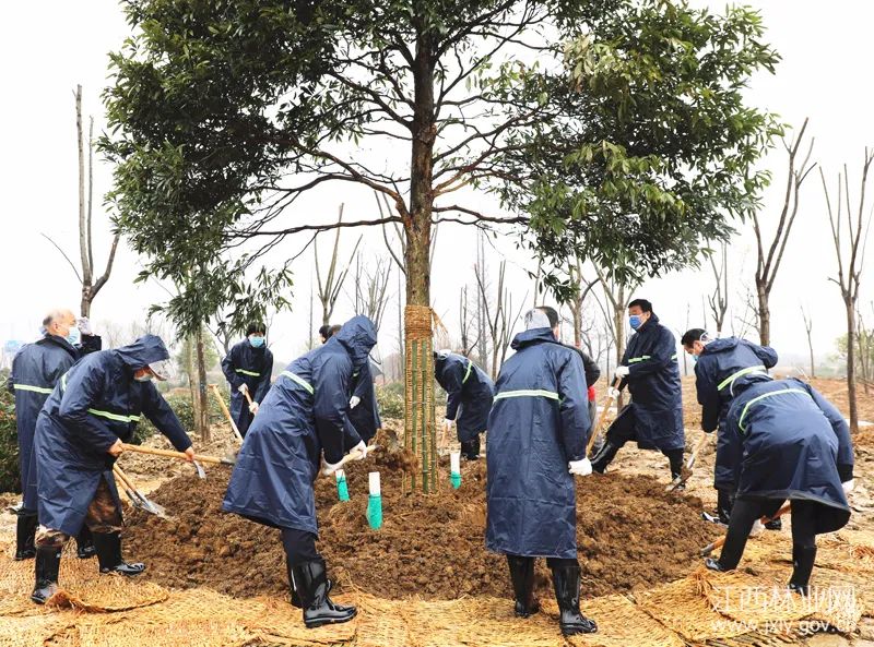冀浙赣豫湘黔等省主要领导参加义务植树