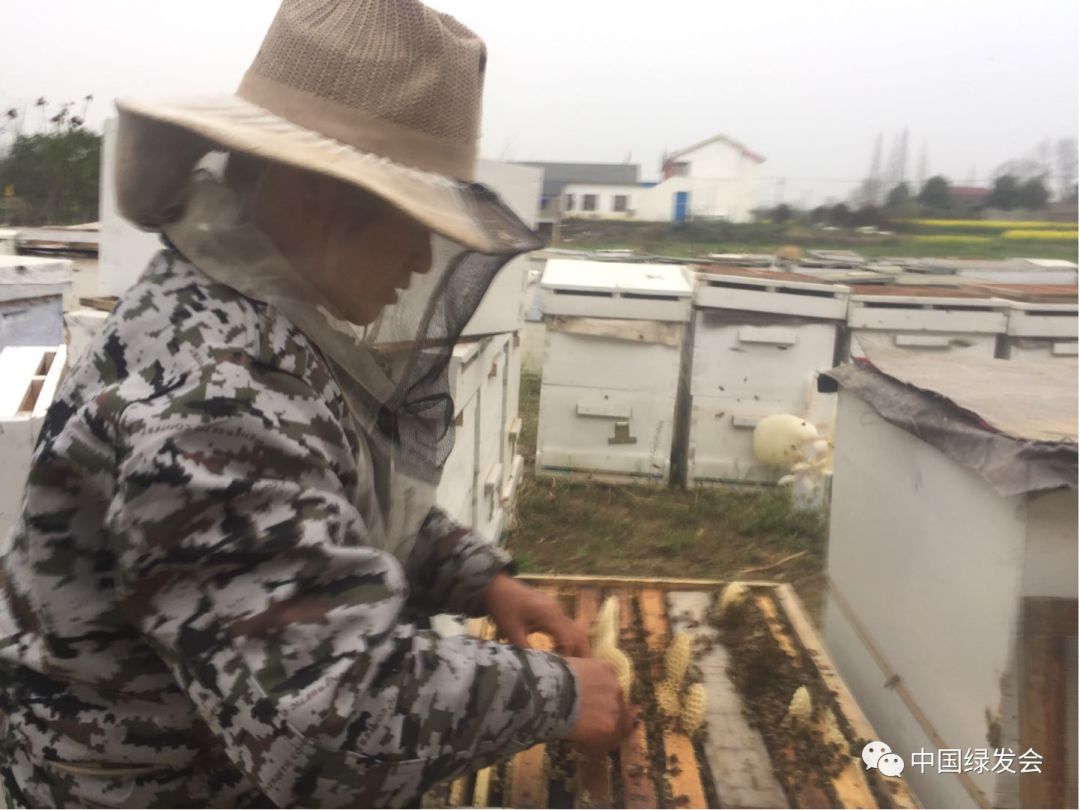 湖北荆州有多少人口_湖北荆州图片(3)