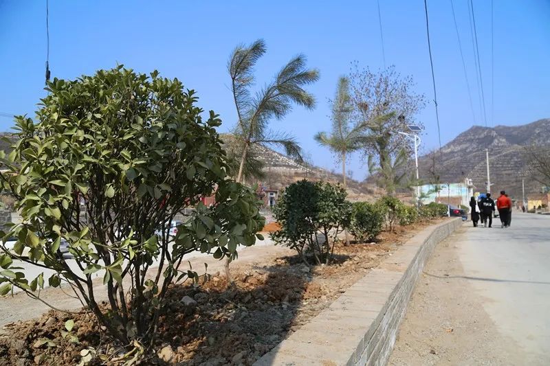 幸福人居看变化|五里河村,让群众的生活越来越舒坦!