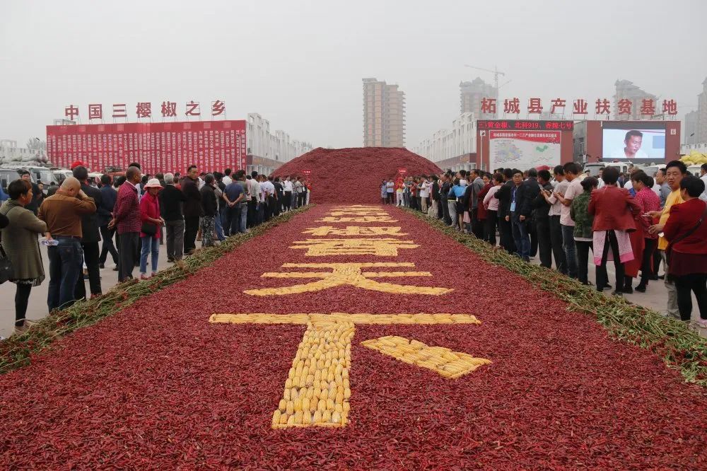 柘城辣椒大市场两个全国中心是如何炼成的