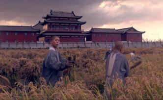 以稻米为切入点，重新审视中华文明的演化和对世界的影响