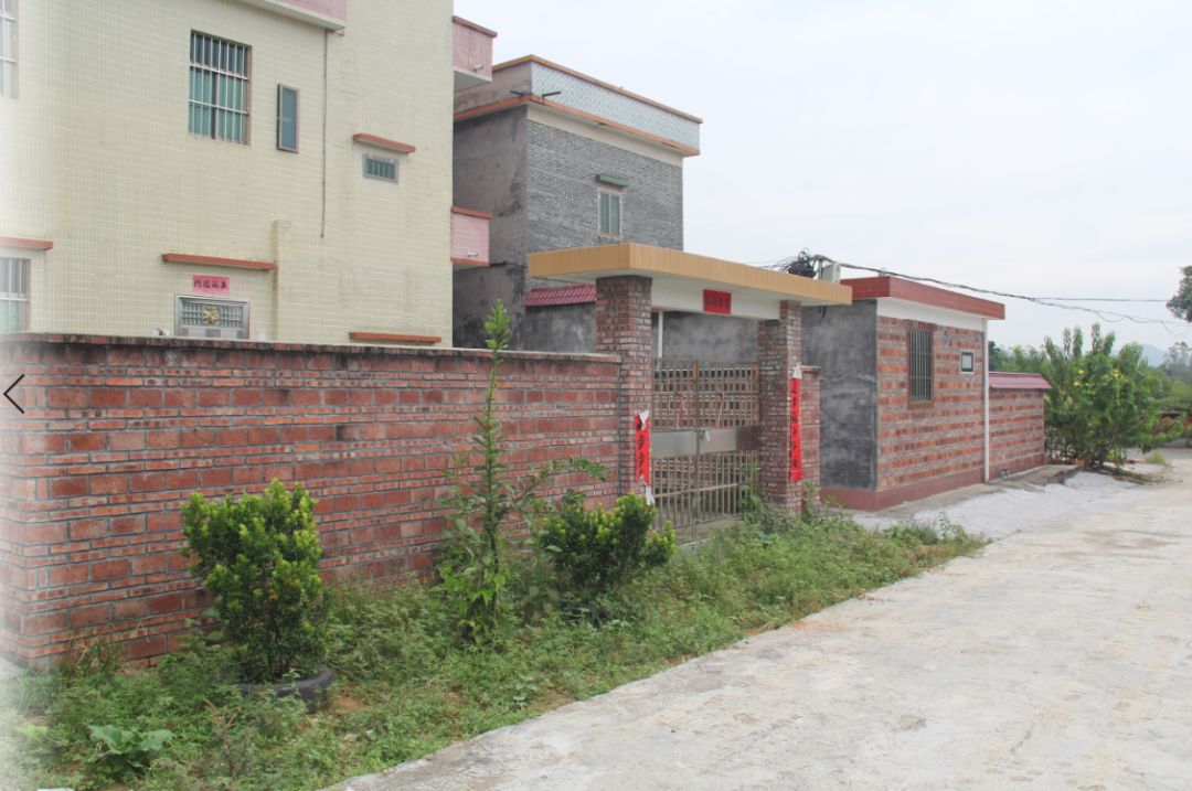 航拍视频!开平苍城镇联兴村山清水秀,满眼皆绿!