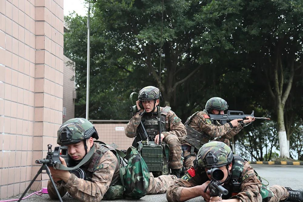 特战小队综合战术演练,"有看头"