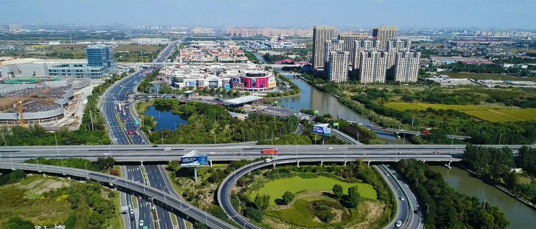 镇党委书记王玲锦这样说_澎湃号·政务_澎湃新闻-the paper