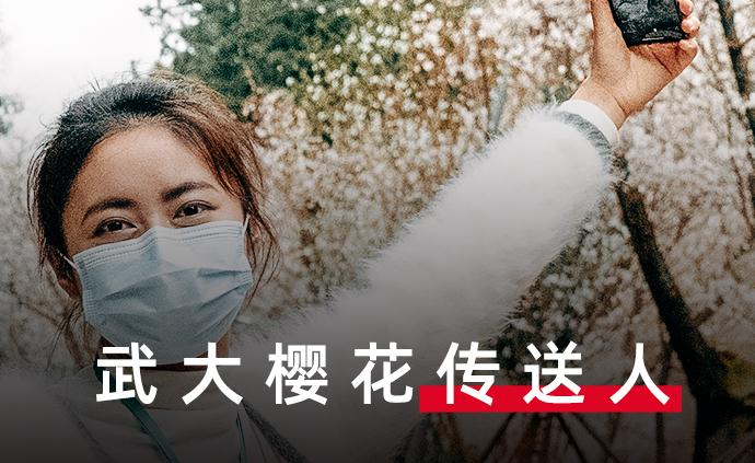 花开疫散：武大樱花季，樱花传送人为你带来美好春光