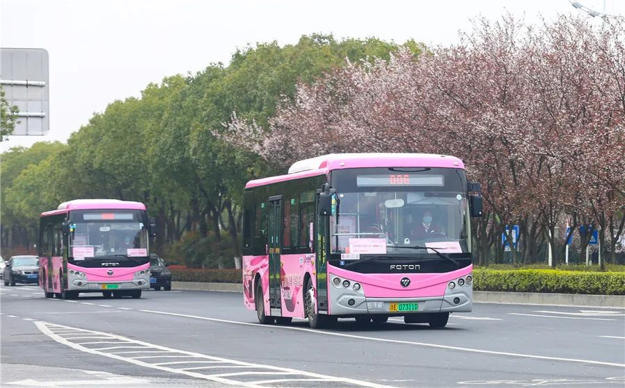 湖城-3月12日,湖州市首条公交主题精品线6路"玫瑰红专线"亮相湖城街头