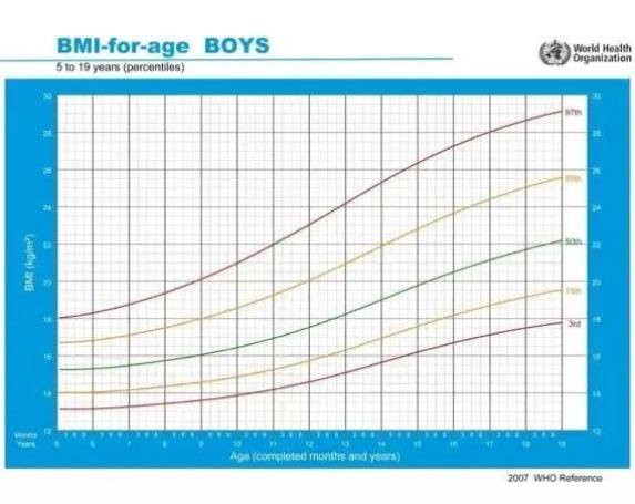 世界衛生組織發佈的5-19歲男孩bmi曲線