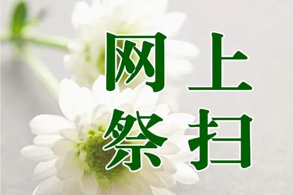 清明网上祭扫照片图片