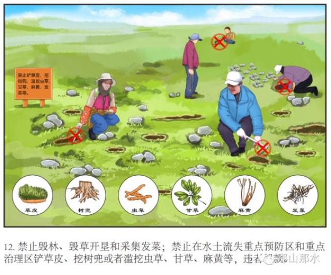 她科普图解水土保持法