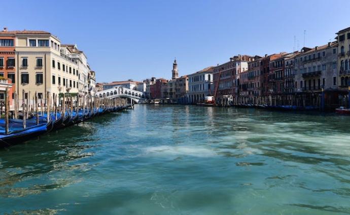 隔离之下，威尼斯运河变清，天鹅和海豚都来了