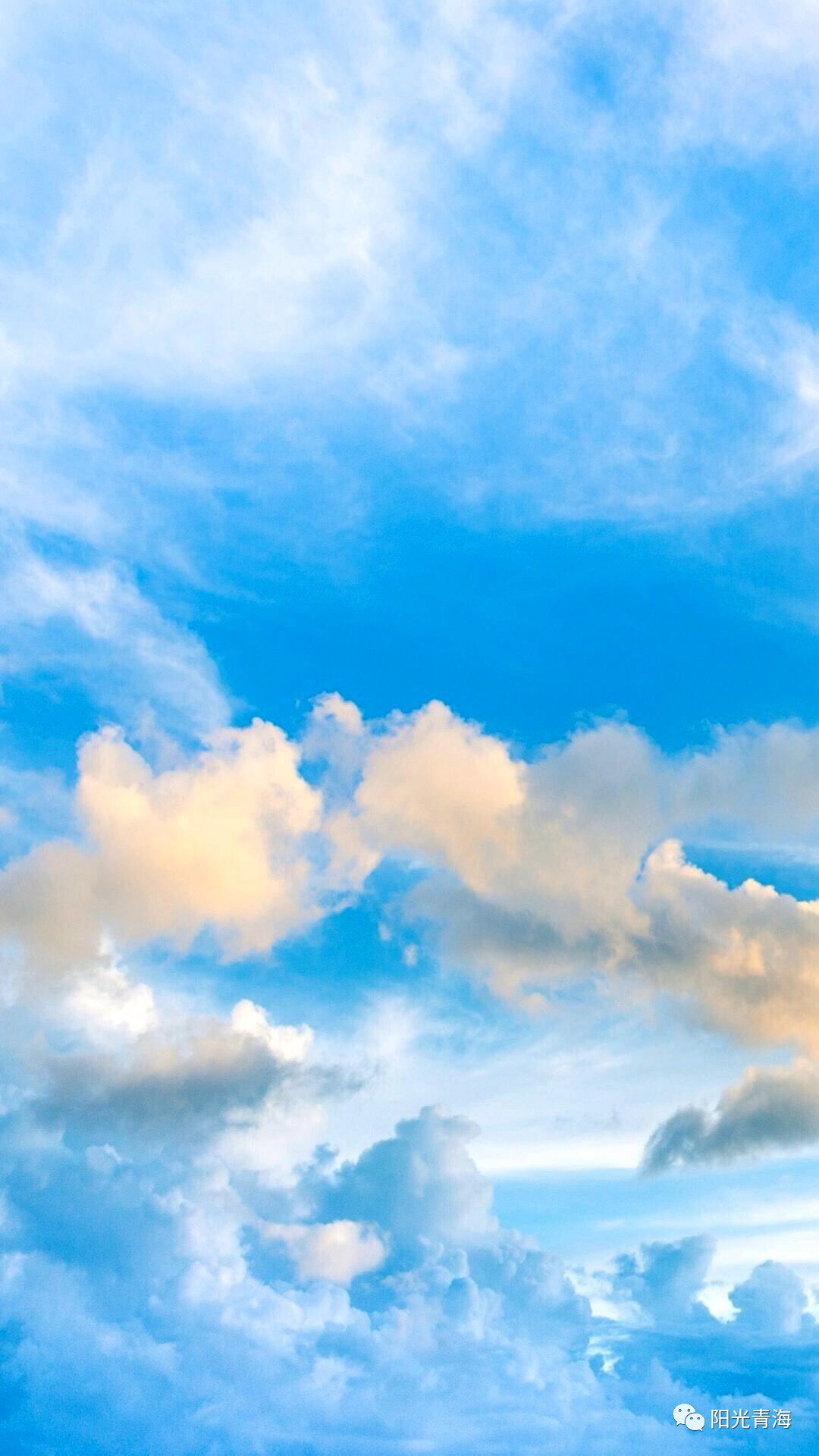 1080_1920竖版 竖屏