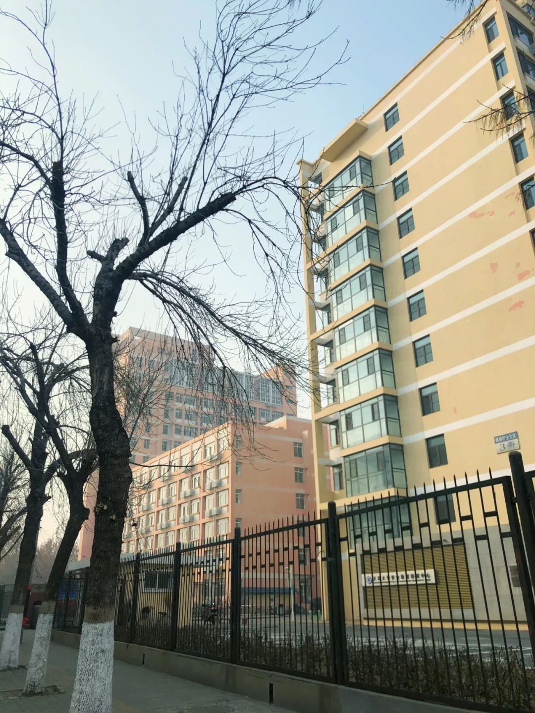 邓雅文:"拖着行李在滴滴来之前留下的一张鹏翔的照片~"作别图书馆作