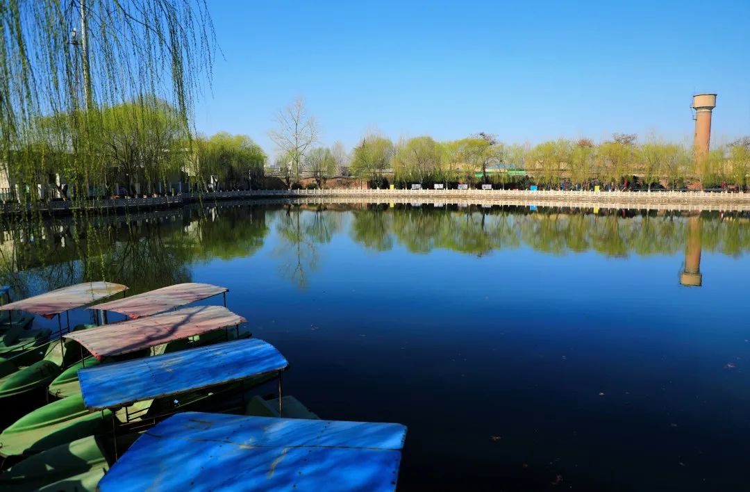 【藁城风光】让我们一起来探访藁城的"春天".