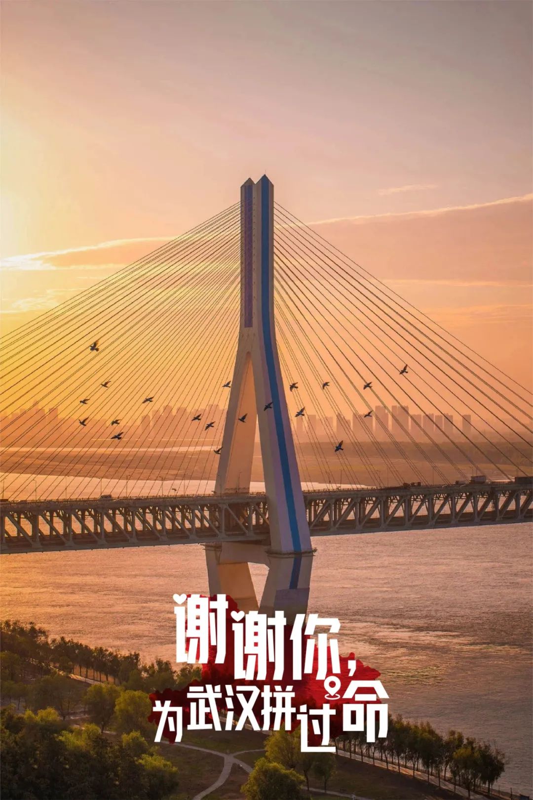 外加32张海报催人泪下掏心窝子地把第一张海报送给了吉林——今天吉林