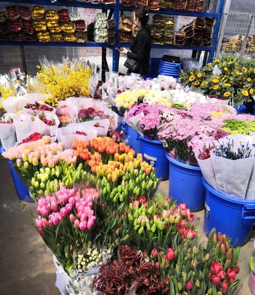 2021三圣花乡花卉市场图片