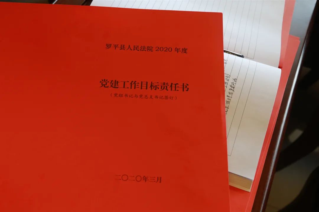 政建设责任书》，与党总支书记签订《党建工作目标责任书》。签订责任书+各部门负责人逐一汇报了本部门20
