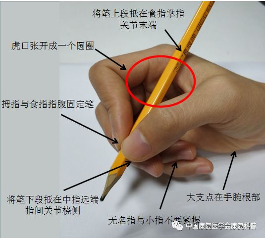 写字最轻松的握笔方法图片