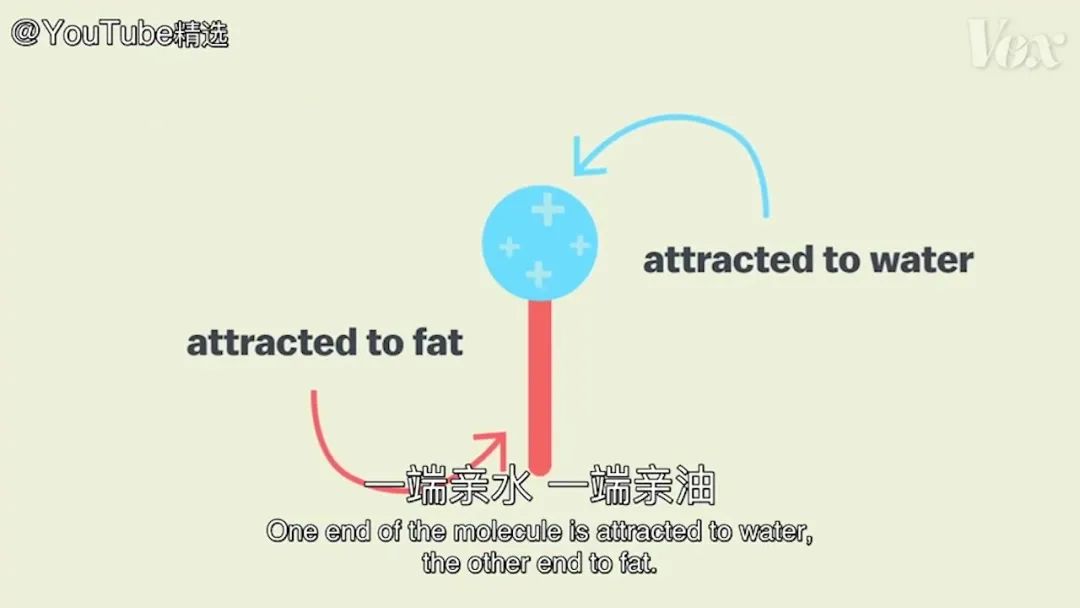 为什么洗手一定要用肥皂洗秒以上 看过这个实验就明白了 媒体 澎湃新闻 The Paper